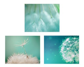 Dandelion Print Set - Set of 3 dandelion prints 11x14 teal blue white dandelions photos bathroom wall decor 16x20 dandelion photography art