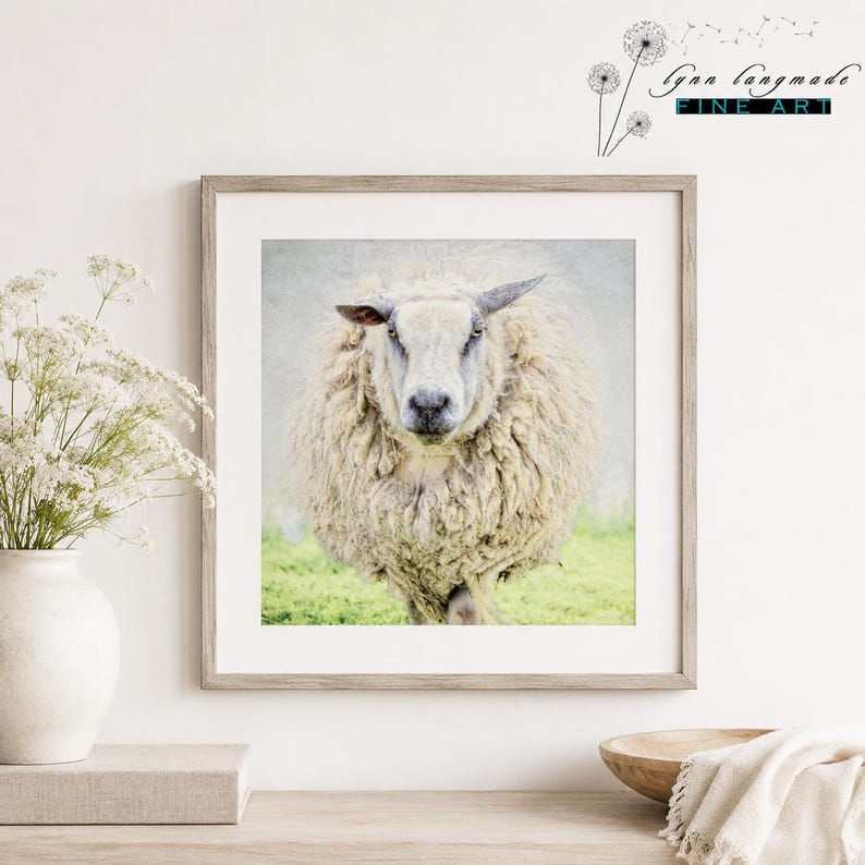 May include: A square framed wall art print featuring a front-facing portrait of a fluffy white sheep standing in a green pasture. The artwork is displayed in a light wood frame, with the text Lynn Langmade Fine Art visible in the top right corner.