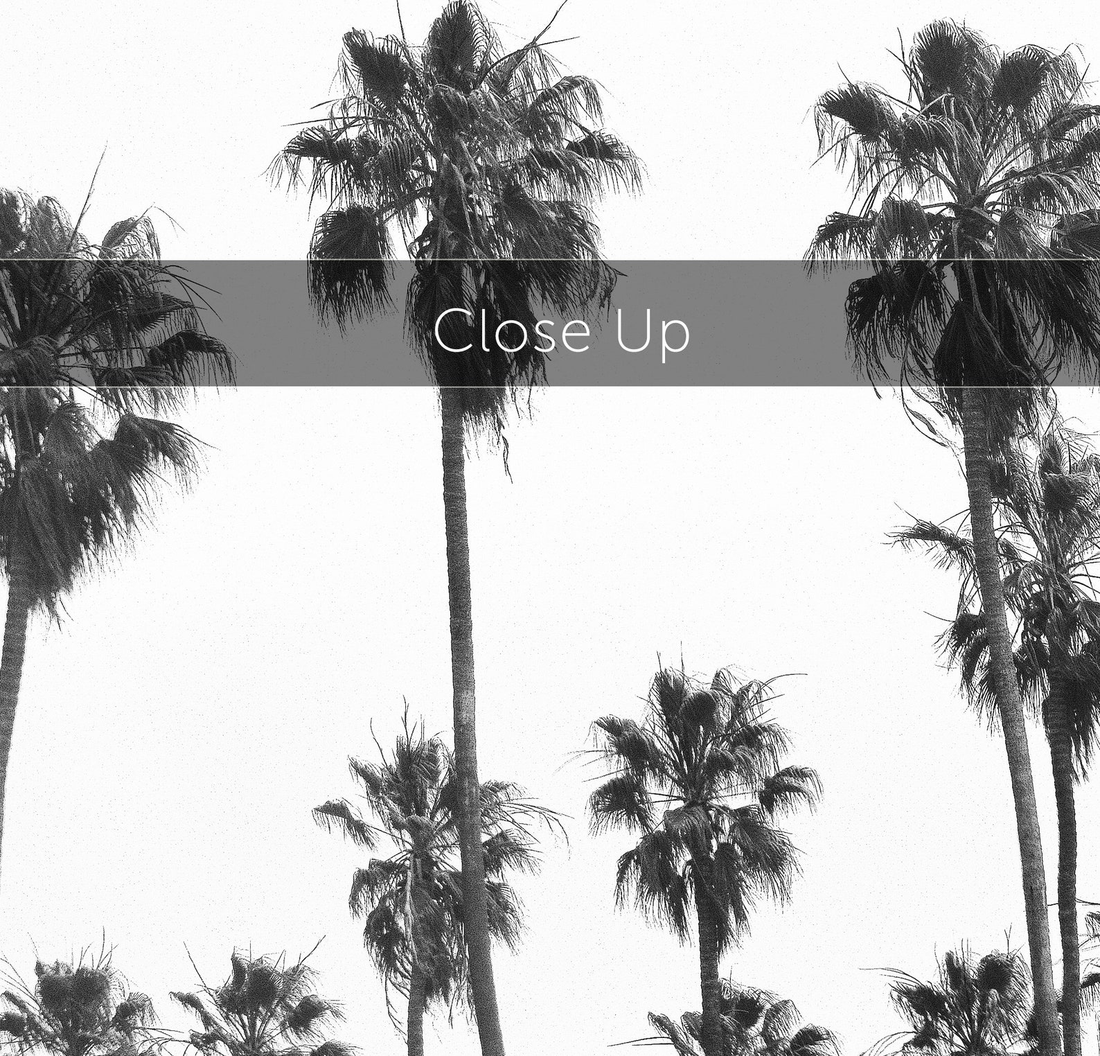 Palm Tree Wall Art Black and White Palm Trees Print - Etsy