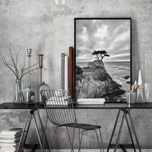 Black and White Photography tree Pacific ocean 20x30 coastal landscapes 16x20 tree pictures 11x14 tree photography large wall art Never image 3