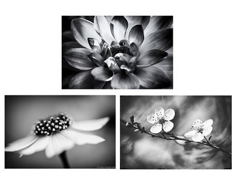 Black and White Flower Print Set - set of 3 flowers bedroom decor grey gray 11x14 black and white photography 8x10  botanical gallery wall