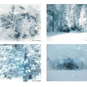Winter Photography Set, Christmas Photos -  4 photos four blue white Christmas set of 4 winter images woods snow trees winter print set