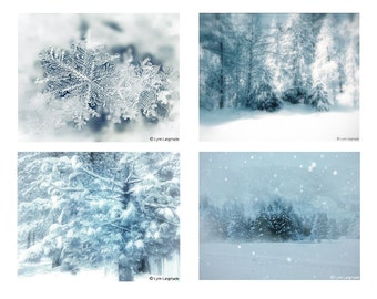 Winter Photography Set, Christmas Photos -  4 photos four blue white Christmas set of 4 winter images woods snow trees winter print set