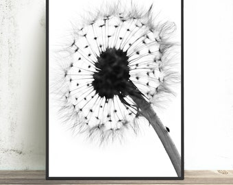 Dandelion Decor - dandelion gifts, black and white dandelion print 11x14, minimalist art prints, printable, 24x36 A1 "In Your Warm Embrace"