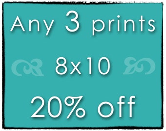 DISCOUNT PHOTO SET - Any 3 Prints - Three 8x10 Photographs of Your Choice - Save 20%