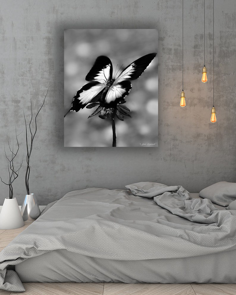 Butterfly Print black and white large butterfly art 20x30 Etsy