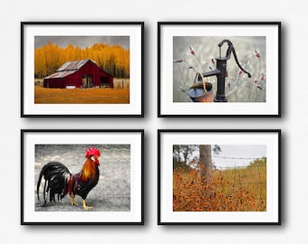 Red Barn Photography - A Set of 4 Rustic Photography Prints- Red Barn, Rooster, Well Pump, & Country Wildflowers