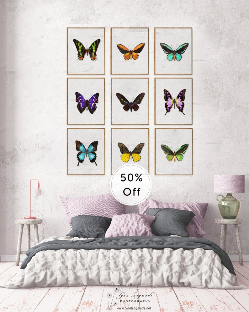 Butterfly Gifts Butterfly Prints SET of 9 Real Rainbow Etsy