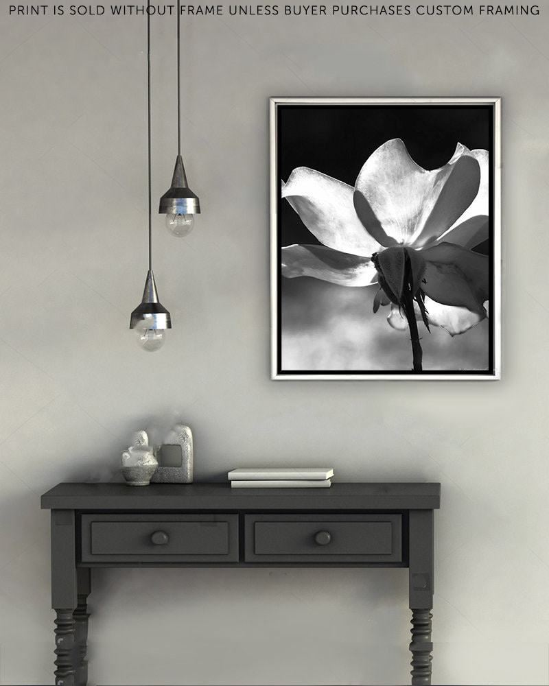 Rose Print Black and White Rose Wall Art 20x30 White Rose Etsy