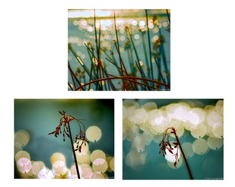 Botanical Bathroom Print Set - Set of 3 botanical prints bokeh lights  8x10 teal sparkly 11x14 blue gold bokeh photography 16x20 wall art