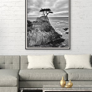 Black and White Photography tree Pacific ocean 20x30 coastal landscapes 16x20 tree pictures 11x14 tree photography large wall art Never image 4