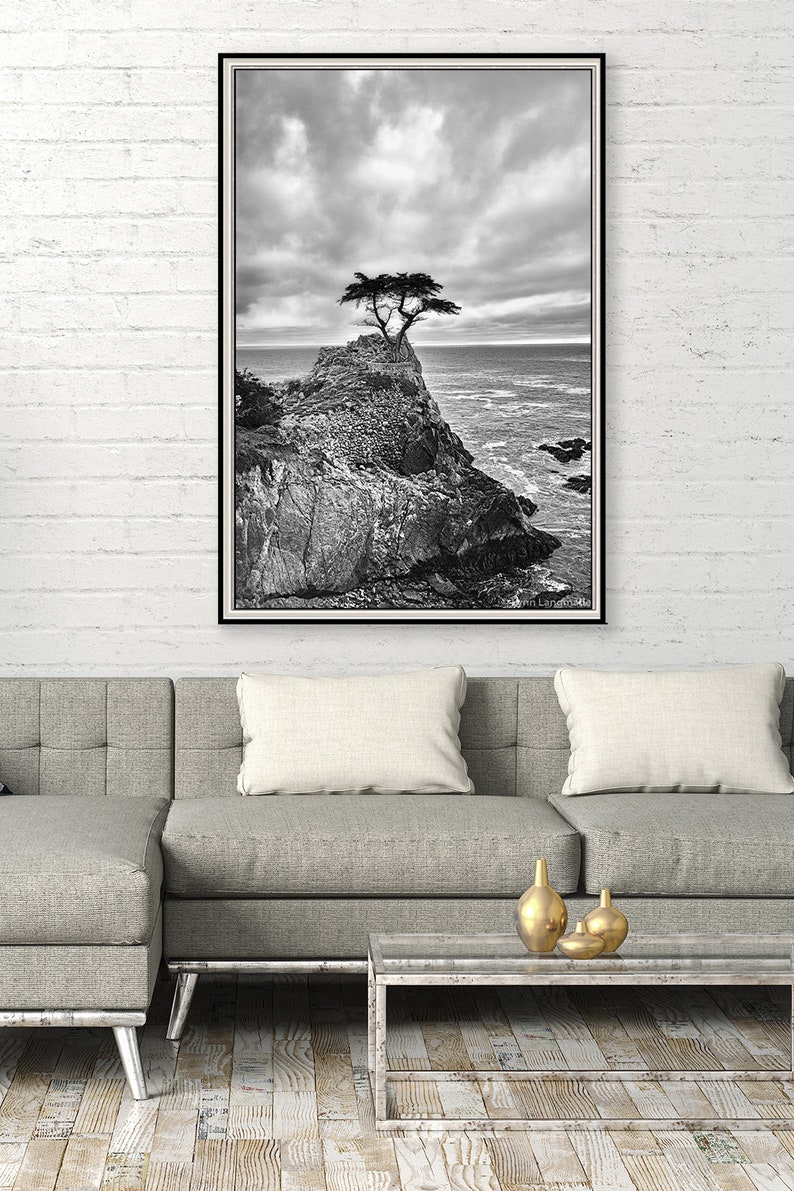 Black and White Photography tree Pacific ocean 20x30 coastal landscapes 16x20 tree pictures 11x14 tree photography large wall art Never image 4