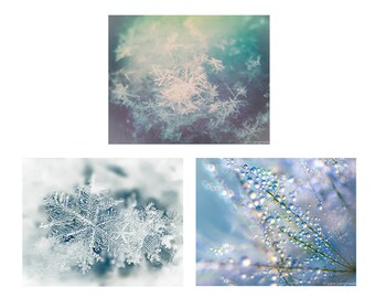 Winter Print Set - Set of 3 prints 8x10 purple snowflakes blue christmas dandelion winter photography gift raindrops 11x14 nature wall art