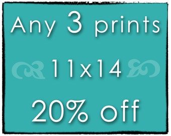 DISCOUNT SET - Any 3 Prints - Three 11x14 Photographs of Your Choice - Save 20%