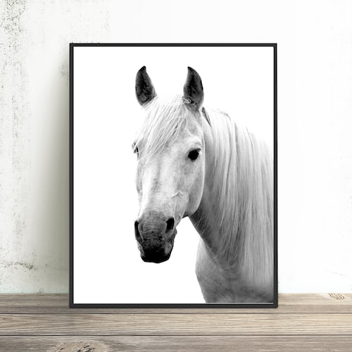 Horse Print White Horse Wall Art Black and White Minimalist Etsy