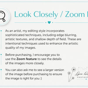 以下が含まれることがあります： 「Look Closely / Zoom In」のテキストが入った、水色と白のグラフィック。テキストは、画像の詳細を表示するためにズーム機能を使用することを推奨しています。画像はまた、芸術的なテクニックについても言及しています。