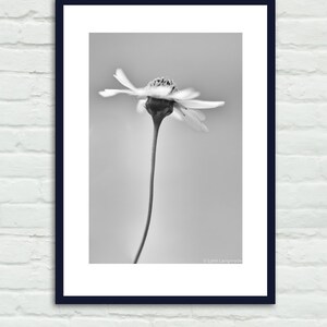 Black and White Botanical Print Wildflower Art Gray Bathroom Wall Decor ...