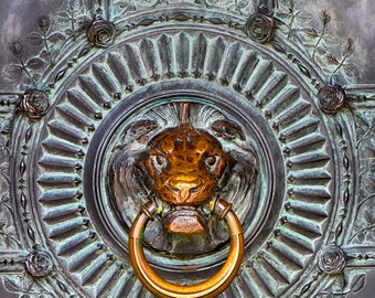 Paris Photography - gold lion door knocker sacre coeur montmartre paris yellow and gray wall decor europe print Paris wall art - "Ornament"