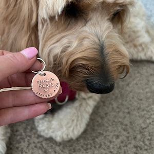 Dog ID Tag, Dog Name Tag, Dog Tag Personalized, Dog Tag, Custom Dog Tag,  Handstamped ID Dog Tag, Cute Dog Tag, Dog Collar Tag, Pet Name Tag