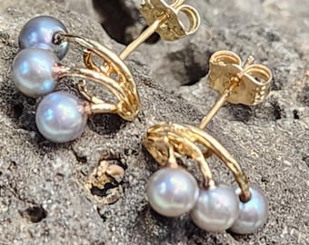 Pendientes de perla azul/plateada cultivada en agua dulce en oro amarillo de 14 quilates (st - 4450)