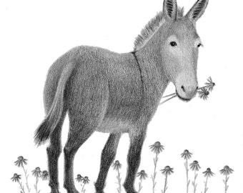 Donkey Art - donkey print - donkey illustration - 5x5 print