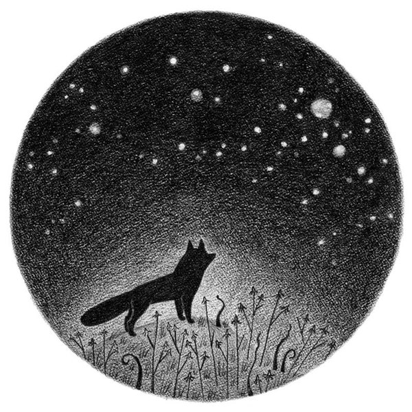 Fox in the Night Meadow 8x10 print