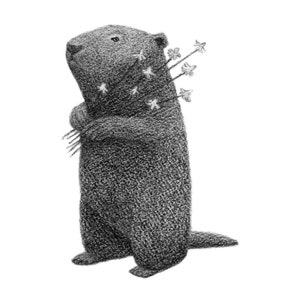 Woodchuck Art groundhog print black and white 5x5 print of pencil drawing image 1