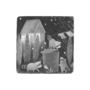 Three Raccoons - 5x5 print