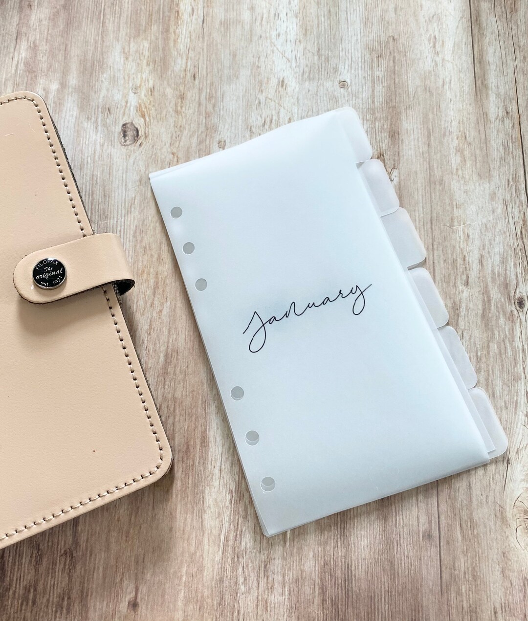12 Monthly Vellum Planner Dividers, Minimal Vellum Planner Dividers