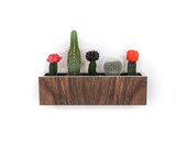 SALE 12.5"L Wall Planter | Walnut + White Laminate | Large Petite size 12.5" x 3.4" sq. | NO plants