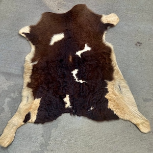VINTAGE CALF SKIN / Calf Skin Rug / Calf Skin Wall Hanging / 100% Authentic Calf Skin (ub)