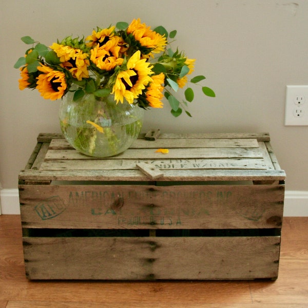 Rare Antique California Fruit Crate with Lid that Latches, Rustic Storage Crate, Primitive Crate with Lid