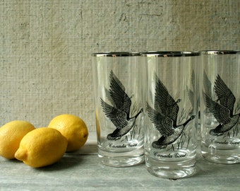 Set of Six Canadian Geese Glasses, Wild Bird Glasses, Federal Glass, Canadian Goose Federal Glasses, Highball Glasses