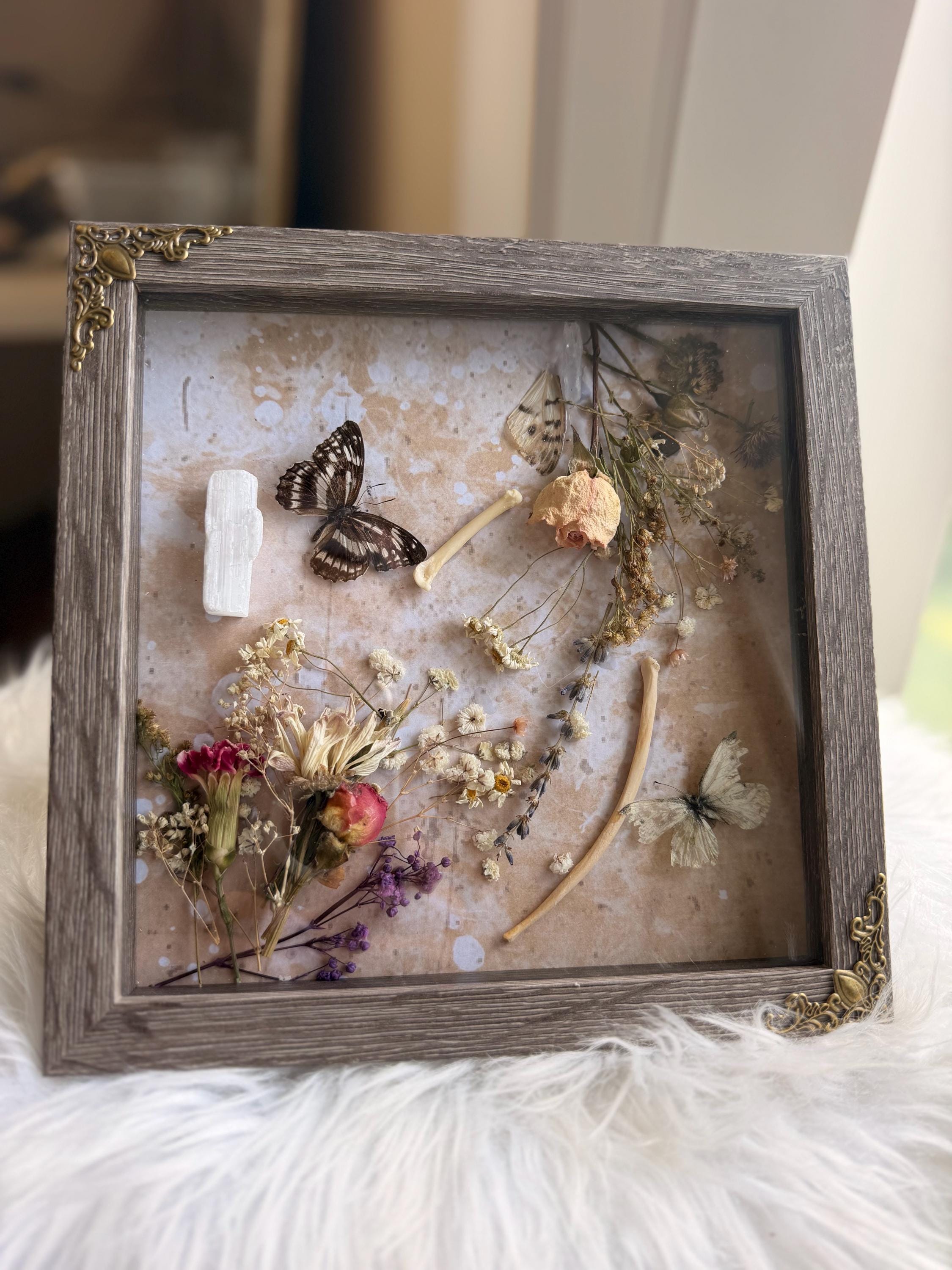 Antique Butterfly Shadow Box - Etsy