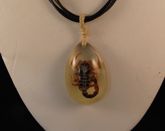 Scorpion neckless