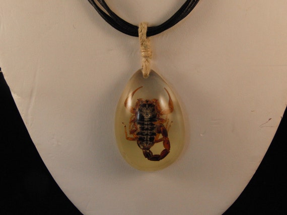Scorpion neckless