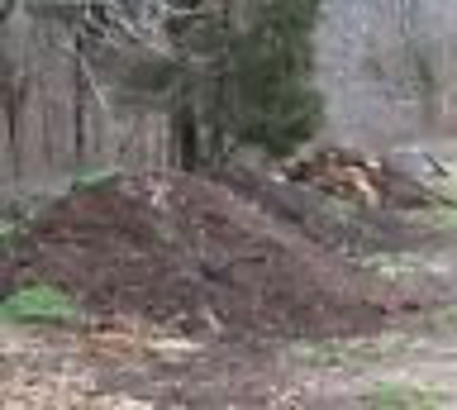 Homesteading Organic Composting DVD Biogas Vermiculture Compost Pile Bin 40 Minutes Etsy