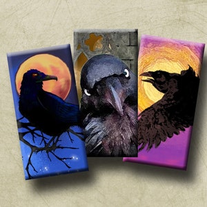 RAVENS -  Digital Collage Sheet 1x2 inch domino images for pendants, rectangle bezel settings, magnets.  Instant Download #278.