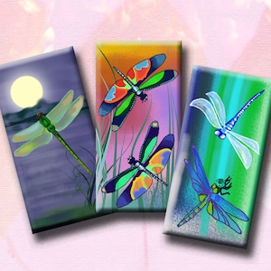 DRAGONFLIES - Digital Collage Sheet 1 x 2 inch domino images for pendants, rectangle bezel settings, magnets.  Instant Download #247.