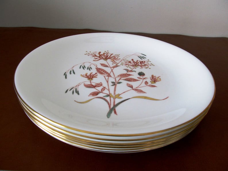 Vintage Bone China W4217 Six Wedgwood Honeysuckle Rust Dinner Plates Gift Made in England