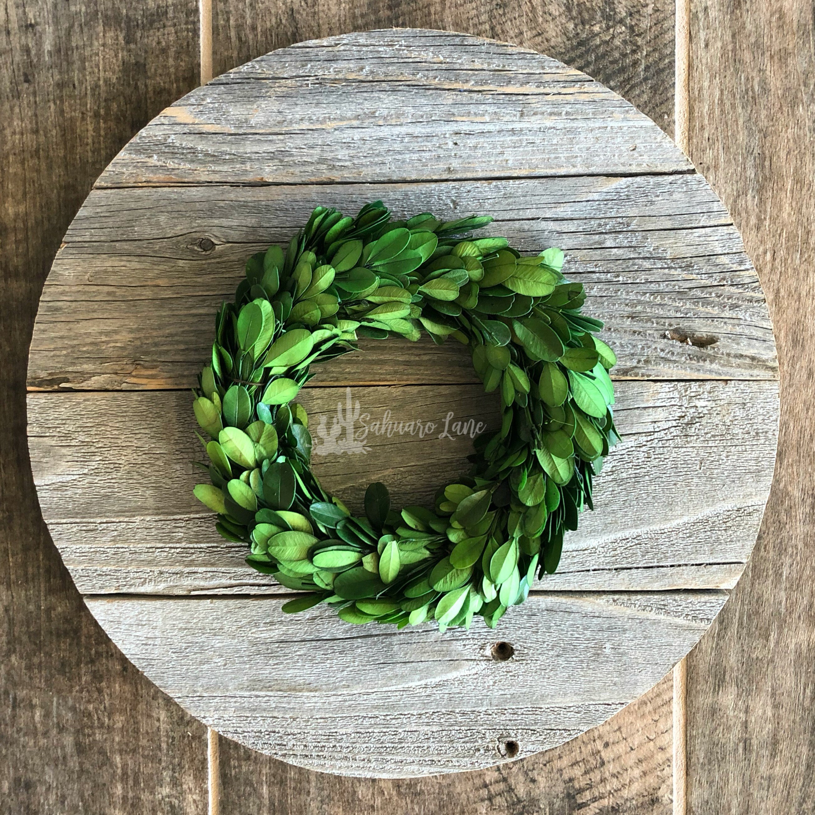 5. Festive Flourish: Mini Preserved Boxwood Wreath For All Occasions