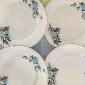 JAJ Wildfowl pattern salad / lunch plates 1960s