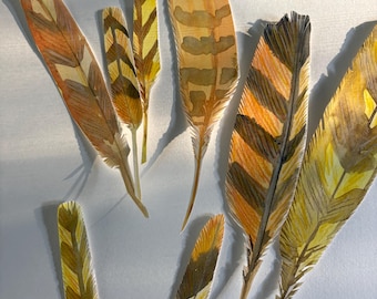 Realistic Handpainted Feather Bookmark