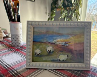 Happy Sheep