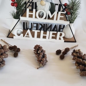 May include: A black metal triangle shelf with two tiers. The shelf holds white wooden letters spelling "HOME GATHER" and a small green gnome with a white and black patterned hat. The gnome is sitting on the top tier of the shelf. There are two small white vases with green pine sprigs and red berries on each side of the gnome.