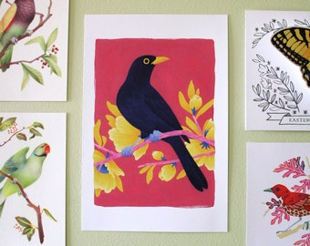 Common Blackbird 6x9 Print - Vibrant Colorful Bird Art Print, Gouache Print