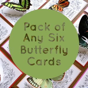 Mix and Match Set of Six Butterfly Cards