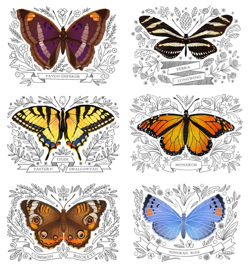 Carte de voeux papillon monarque - Papeterie papillon image 7