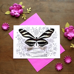 May include: A black and white illustration of a zebra longwing butterfly with a pink floral border. The card reads "Zebra Longwing".