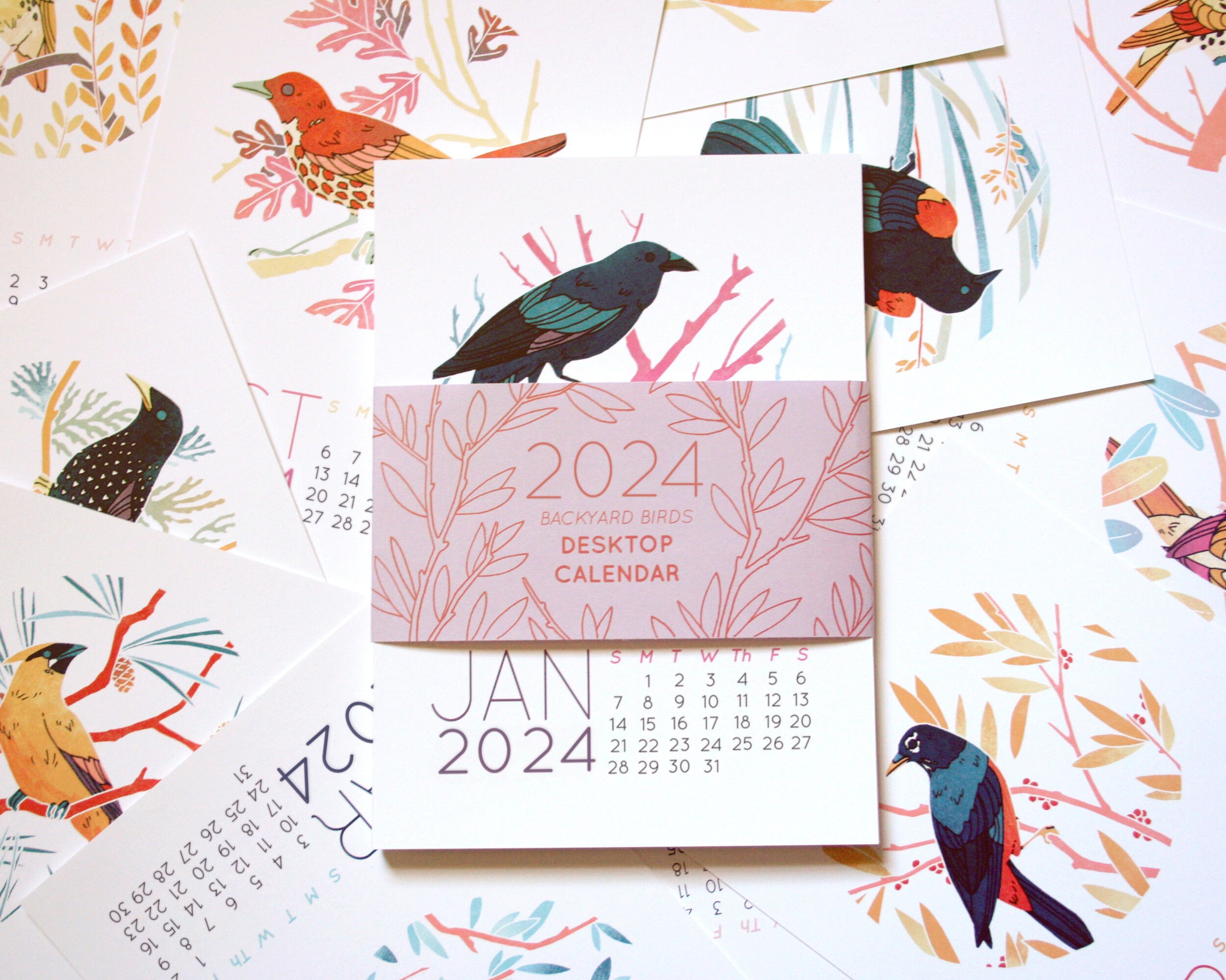 2024 Bird Desk Calendar Monthly Desktop Calendar - Etsy